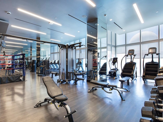 gym with dark wood-type flooring and a wall of windows