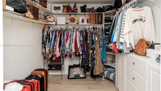 walk in closet featuring light hardwood / wood-style floors