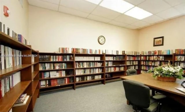 carpeted office with a drop ceiling