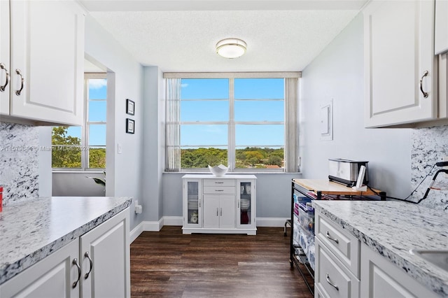 kitchen with plenty of natural light, dark hardwood / wood-style floors, and white cabinets