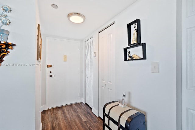 doorway to outside with dark hardwood / wood-style floors