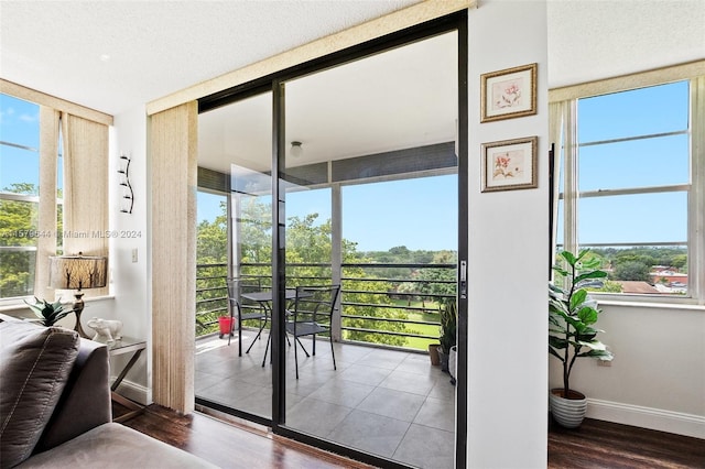 doorway with dark hardwood / wood-style floors and plenty of natural light