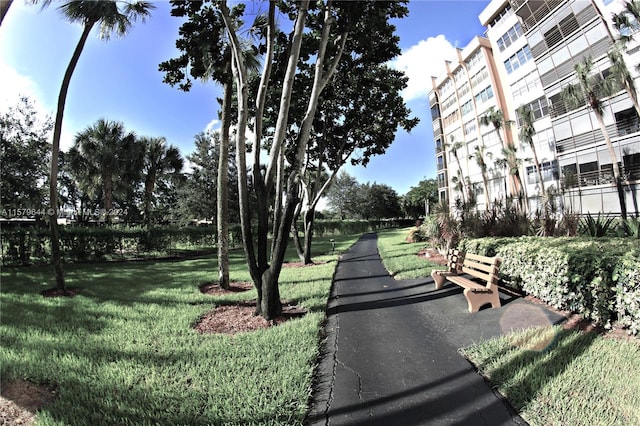 view of community featuring a yard