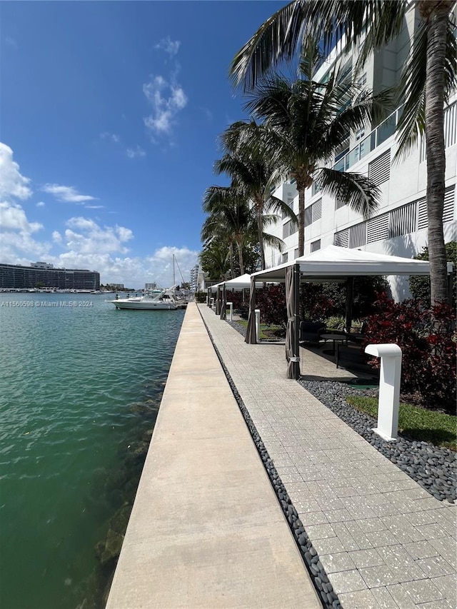 dock area with a water view