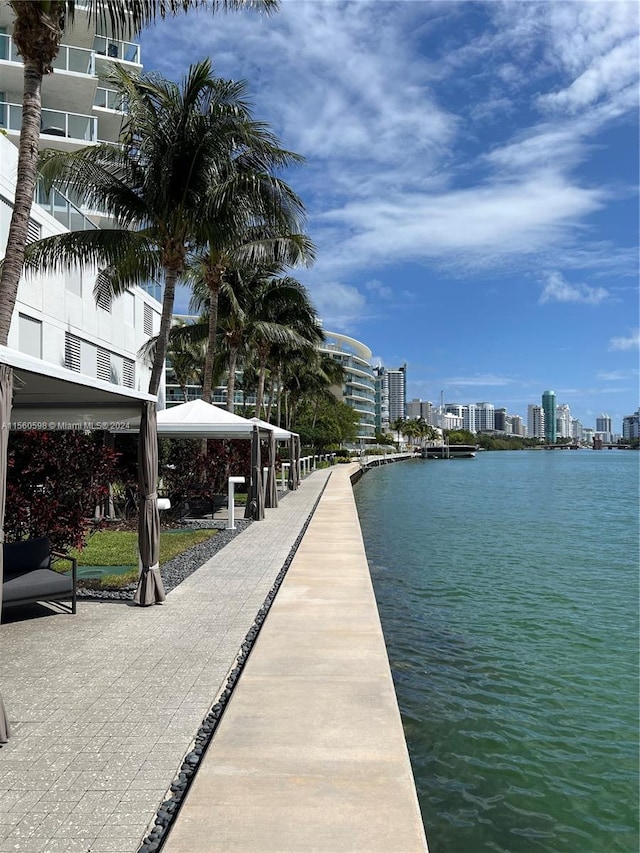 dock area featuring a water view