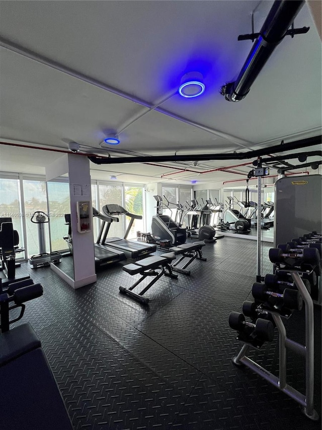 workout area with carpet