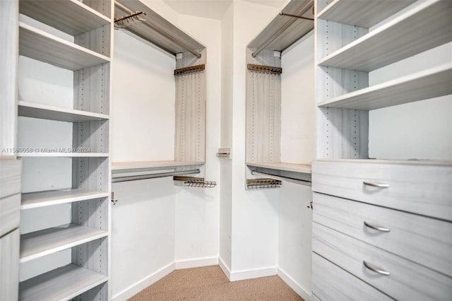 spacious closet featuring light colored carpet