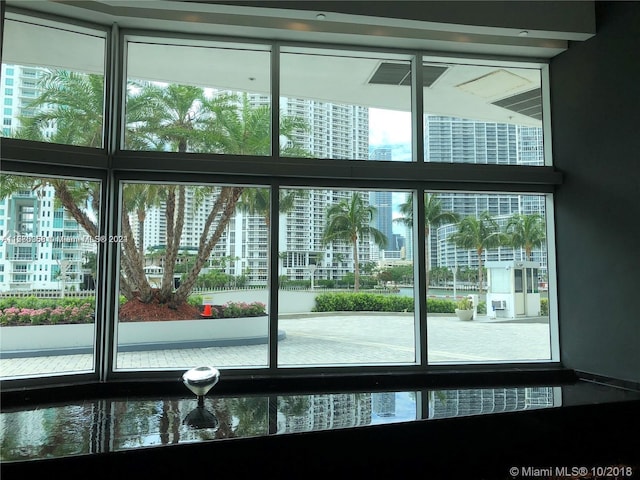 entryway featuring plenty of natural light