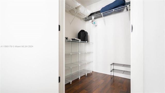 walk in closet with dark hardwood / wood-style flooring