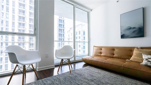 living room featuring a wall of windows and dark wood-type flooring