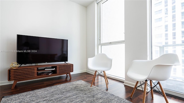 sitting room with dark hardwood / wood-style floors