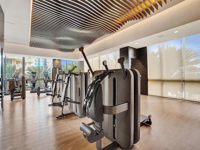 workout area featuring hardwood / wood-style floors