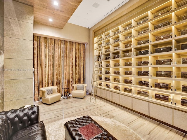 wine cellar featuring wood-type flooring