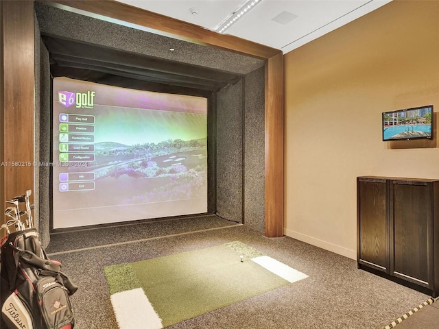 cinema room featuring carpet