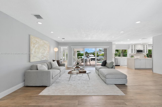 living room featuring light hardwood / wood-style flooring