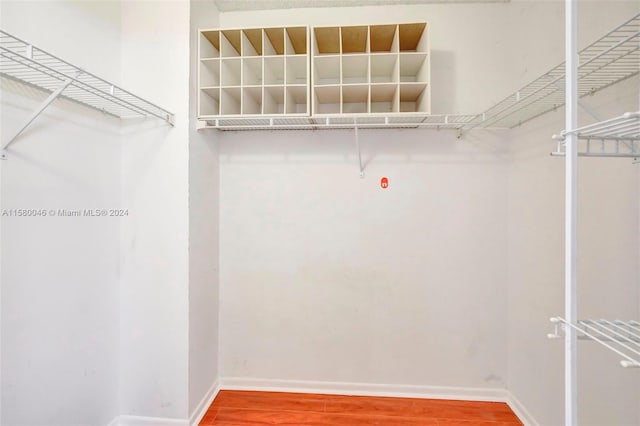 spacious closet featuring wood finished floors