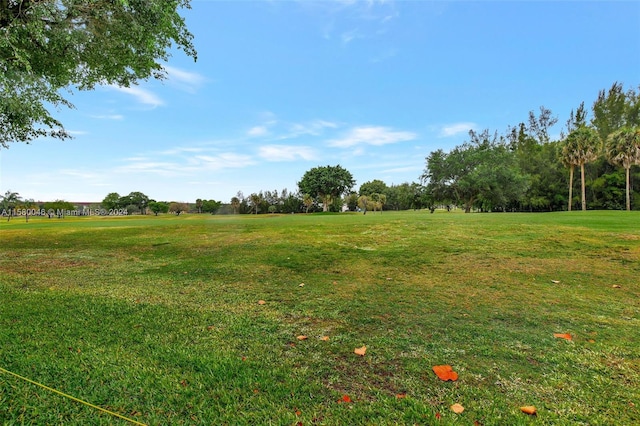 view of yard