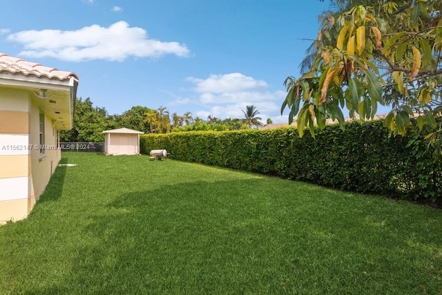 view of yard featuring a shed