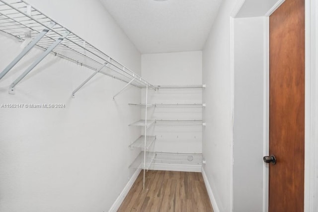 walk in closet with hardwood / wood-style flooring