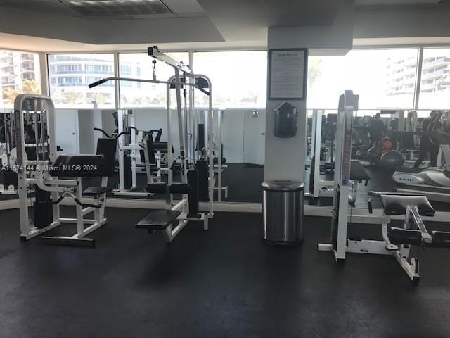 exercise room with a wealth of natural light