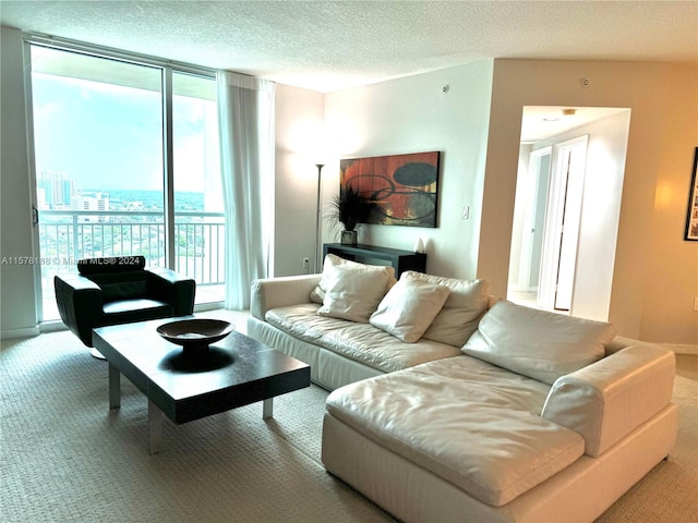 carpeted living room with a textured ceiling and expansive windows