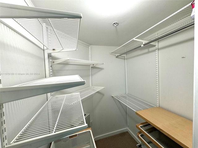 spacious closet with carpet flooring