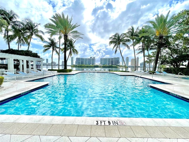 view of pool featuring a patio area