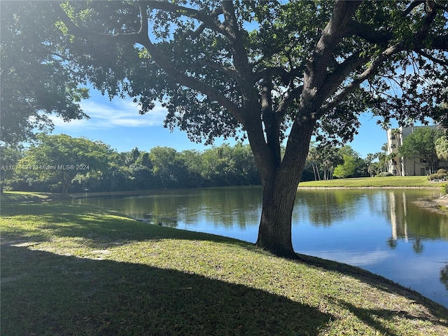 view of water feature