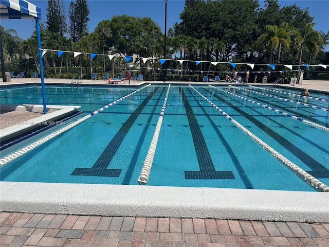 view of swimming pool