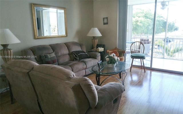 living room featuring light hardwood / wood-style flooring