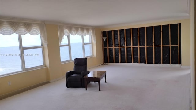 living area featuring a water view, carpet flooring, and ornamental molding