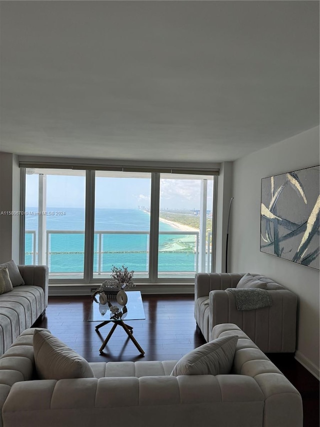 living room featuring plenty of natural light, dark hardwood / wood-style flooring, and a water view