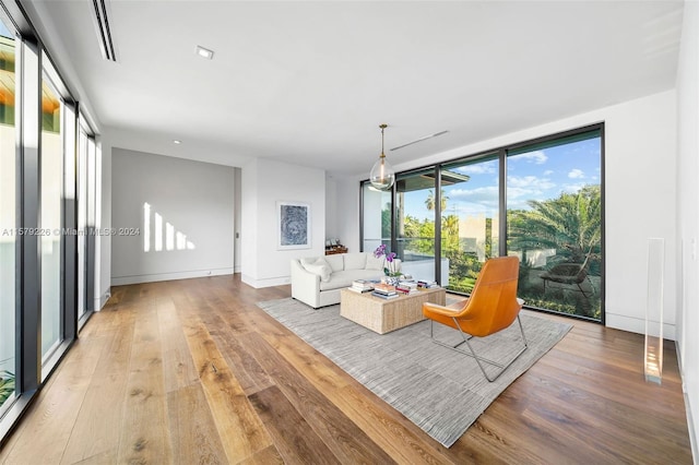 living room featuring light hardwood / wood-style floors