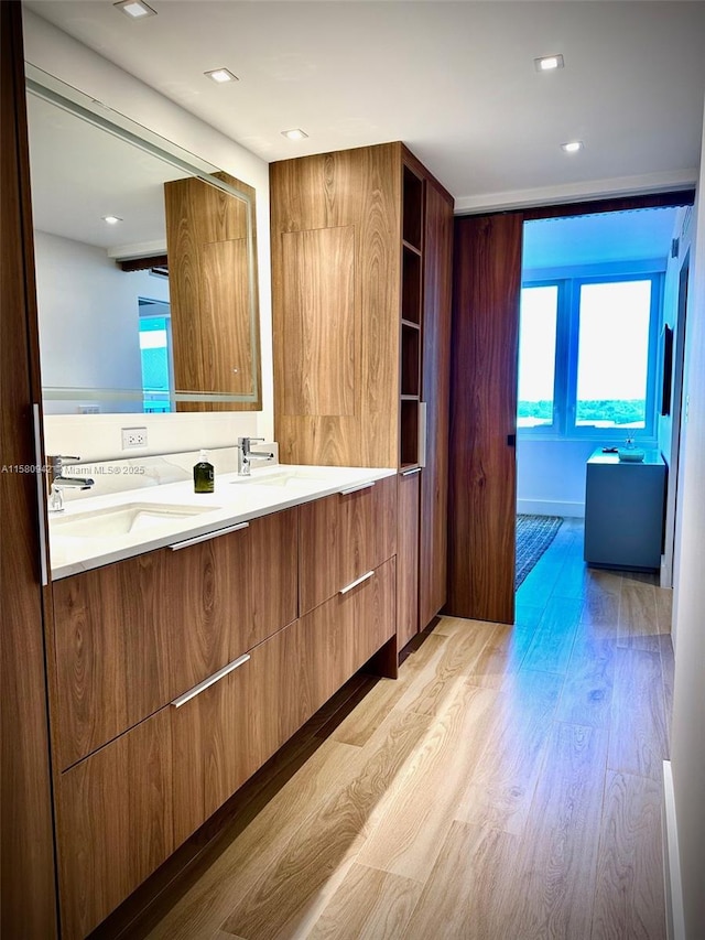 bathroom featuring wood-type flooring and vanity