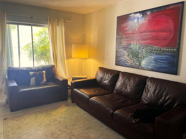 living room featuring a textured ceiling