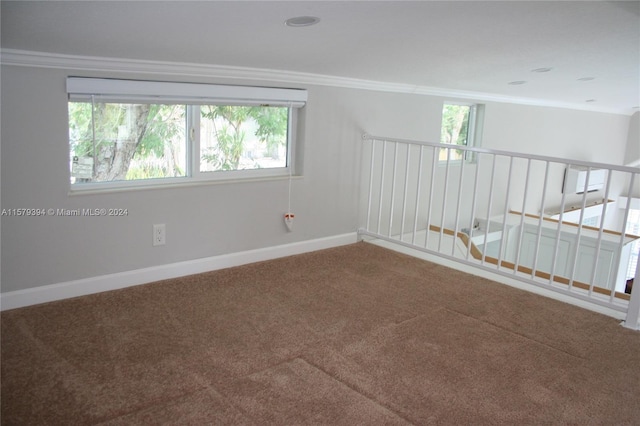 spare room featuring carpet floors and ornamental molding