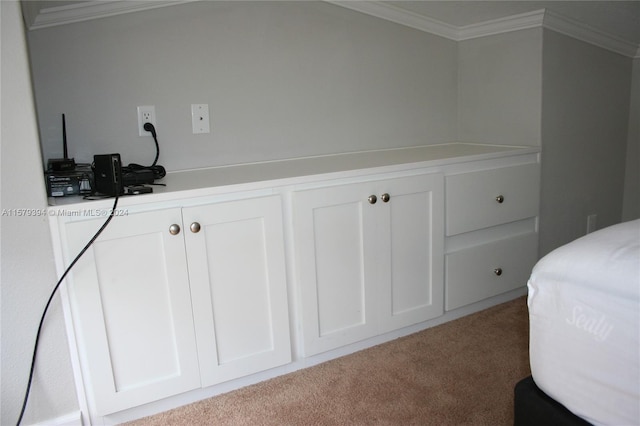 interior space with crown molding