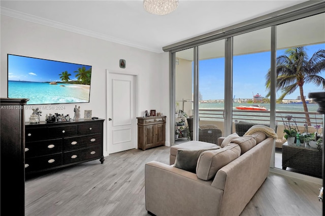 living room with floor to ceiling windows, light hardwood / wood-style flooring, and crown molding