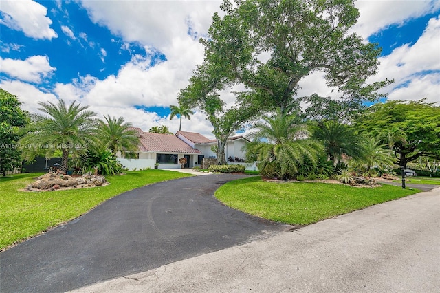 ranch-style house featuring a front lawn