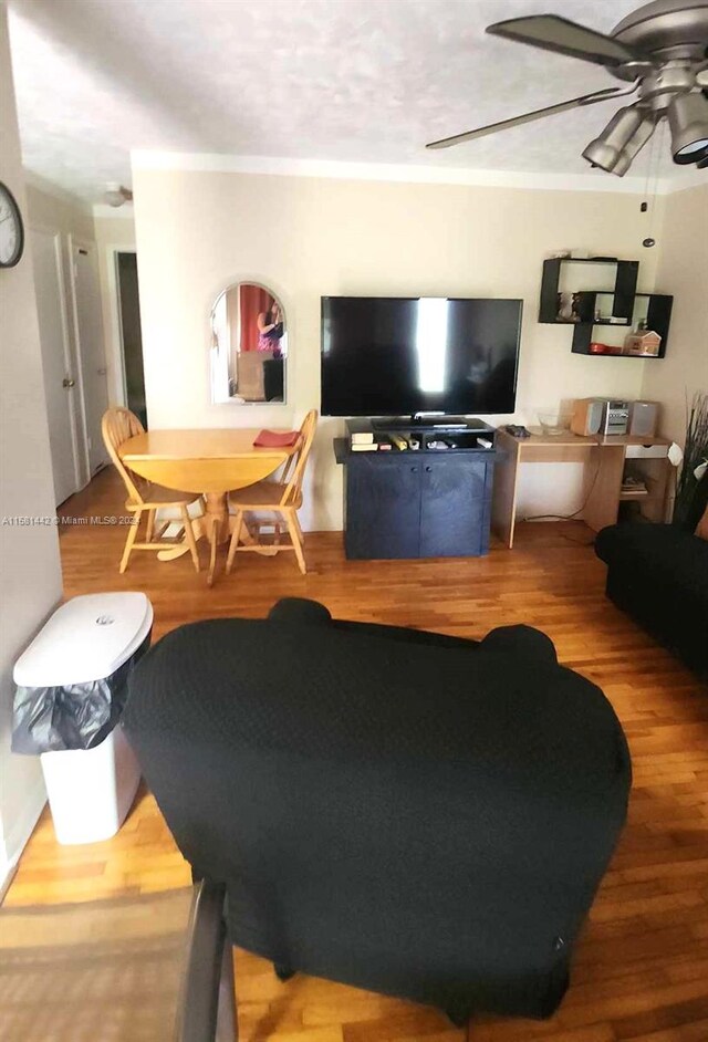 living room with hardwood / wood-style floors and ceiling fan