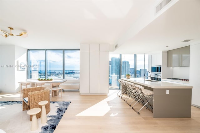 living room with a wealth of natural light, light hardwood / wood-style flooring, expansive windows, and sink