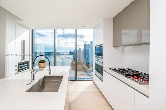 kitchen with expansive windows, appliances with stainless steel finishes, light hardwood / wood-style flooring, gray cabinets, and sink