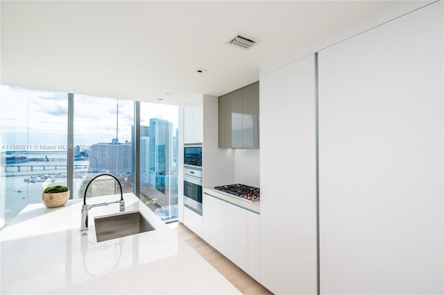 kitchen with appliances with stainless steel finishes, light hardwood / wood-style flooring, sink, gray cabinets, and a wall of windows