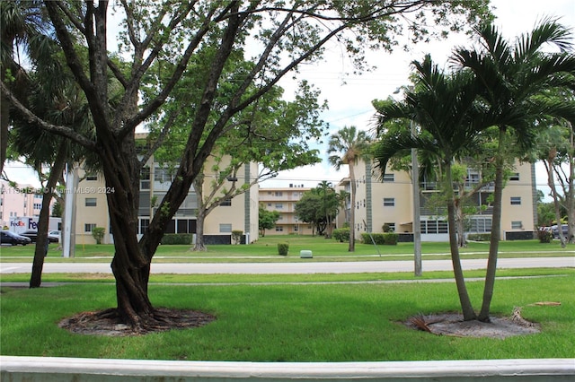 view of home's community with a yard