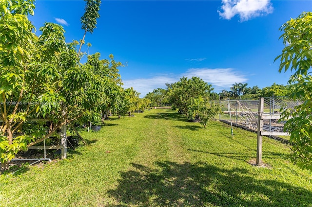 view of yard with a rural view