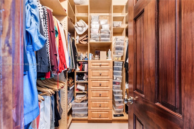 view of walk in closet