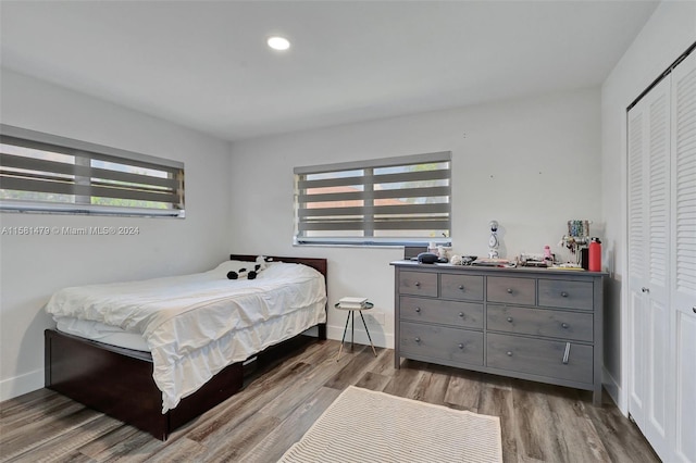 bedroom with wood-type flooring, a closet, and multiple windows