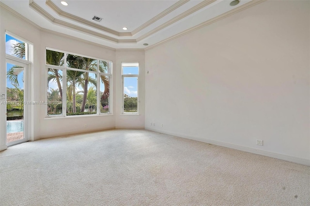 spare room featuring a wealth of natural light, a tray ceiling, carpet floors, and crown molding