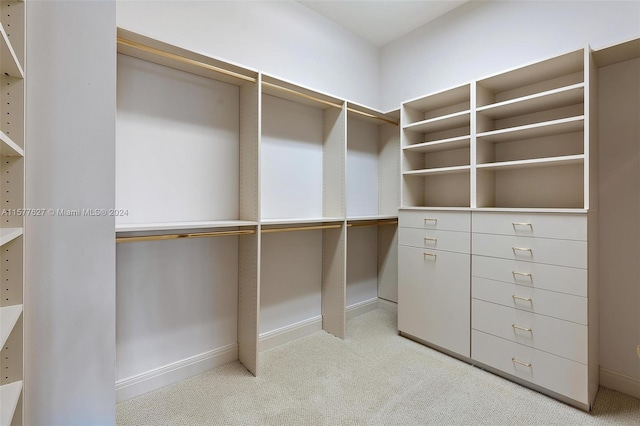 walk in closet featuring light colored carpet