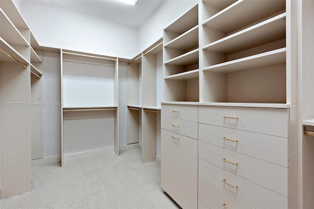 walk in closet with light colored carpet